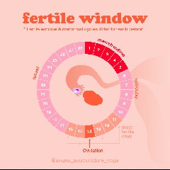 Fertile