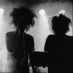 Little Fantastic Partner