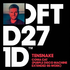 Tensnake & Purple Disco Machine