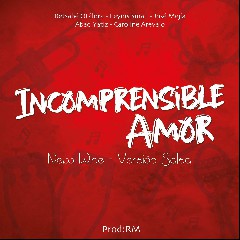 Incomprensible Amor