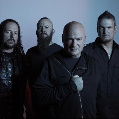 Disturbed