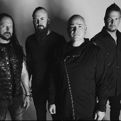 Disturbed