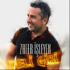 Zafer Isleyen