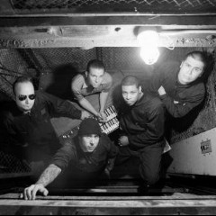 The Aggrolites