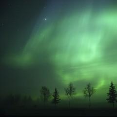 Nordic Lights