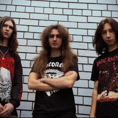 Xenotrone