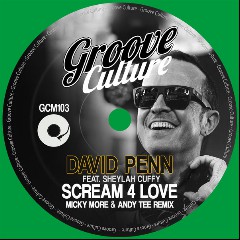 David Penn feat. Sheylah Cuffy