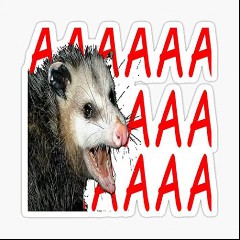 aaaaa