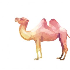 Sandkamel