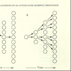Morphic Resonance