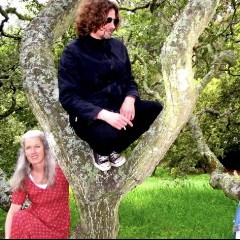 Dreamchair Music