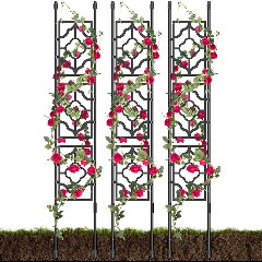 Trellis