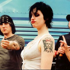 The Distillers