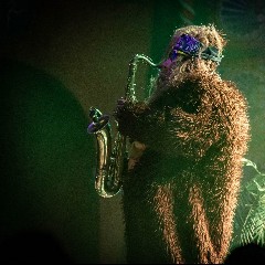 Saxsquatch