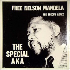 Special AKA, The Special AKA