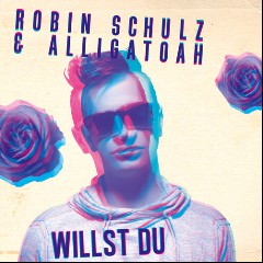 Willst du