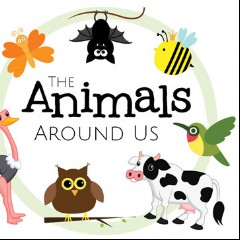 Around Us