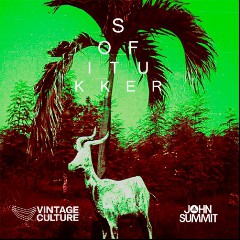 Sofi Tukker, John Summit & Vintage Culture
