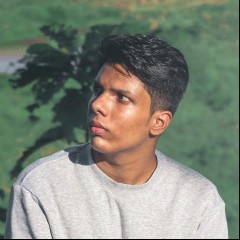BL3SS