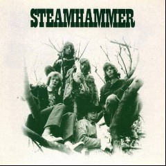 Steamhammer