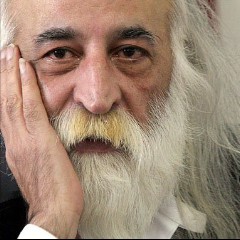 Mohammad Reza Lotfi
