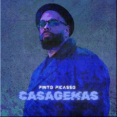 Pinto Picasso