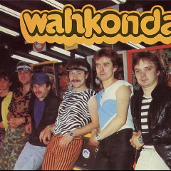 Wahkonda