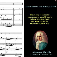 Alessandro Marcello, Venice Baroque Orchestra