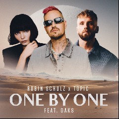 Robin Schulz & Topic
