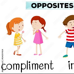 Insult
