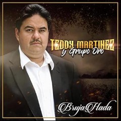 Teddy Martinez y Grupo Oro