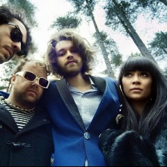 Guillemots