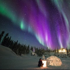 Arctic Lights