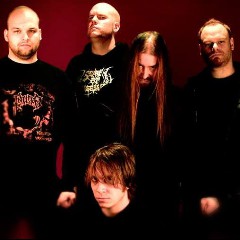 Scar Symmetry