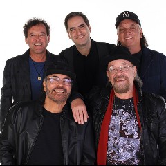 The Fevers