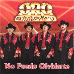 Oro Norteño
