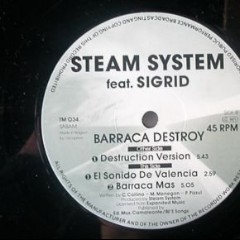 Steam System