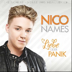 Nico Names