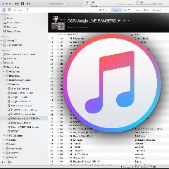 DJ ｉＴｕｎｅｓ