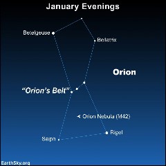 Die Orions