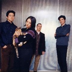 The Magnetic Fields