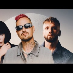 Robin Schulz, Topic & OAKS