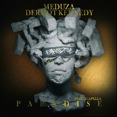 MEDUZA feat. Dermot Kennedy