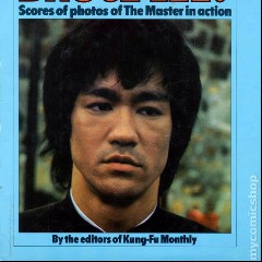 Who Killed Bruce Lee