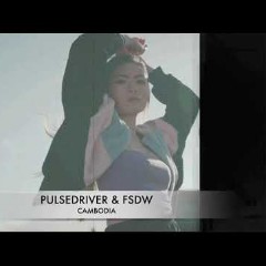 Pulsedriver & FSDW