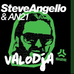 Steve Angello & AN21