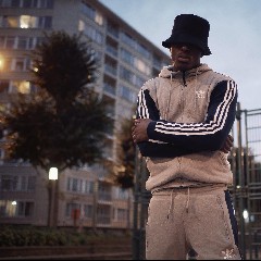 D.A.V.