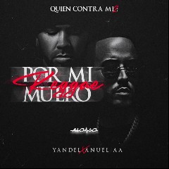 Yandel & Anuel AA