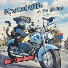 StratCat Willie and The Strays