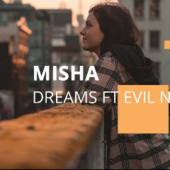 Evil Needle × Misha